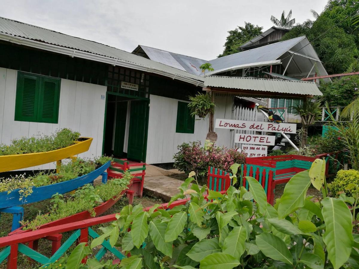 Hotel Lomas Del Paiyue Puerto Nariño Εξωτερικό φωτογραφία