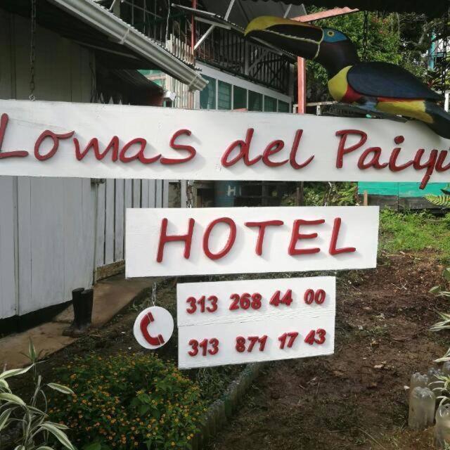 Hotel Lomas Del Paiyue Puerto Nariño Εξωτερικό φωτογραφία